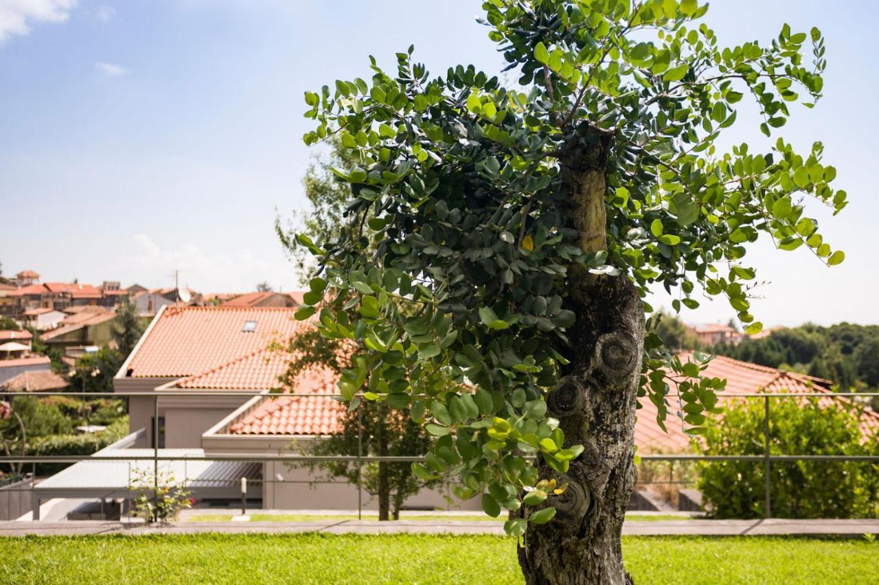 Casa Vacanza Etna Dream Zafferana Etnea Exterior foto